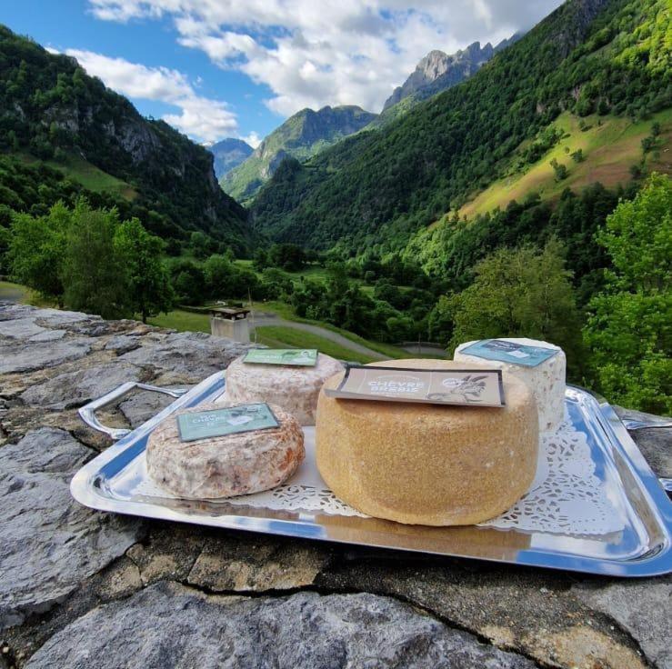 Chateau D'Arance Hotel Restaurant Espace Bien-Etre Cette-Eygun エクステリア 写真